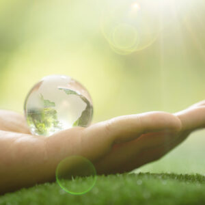 Koberce z uniforiem alebo ovce medzi solárnymi panelmi – ako môže vyzerať udržat...