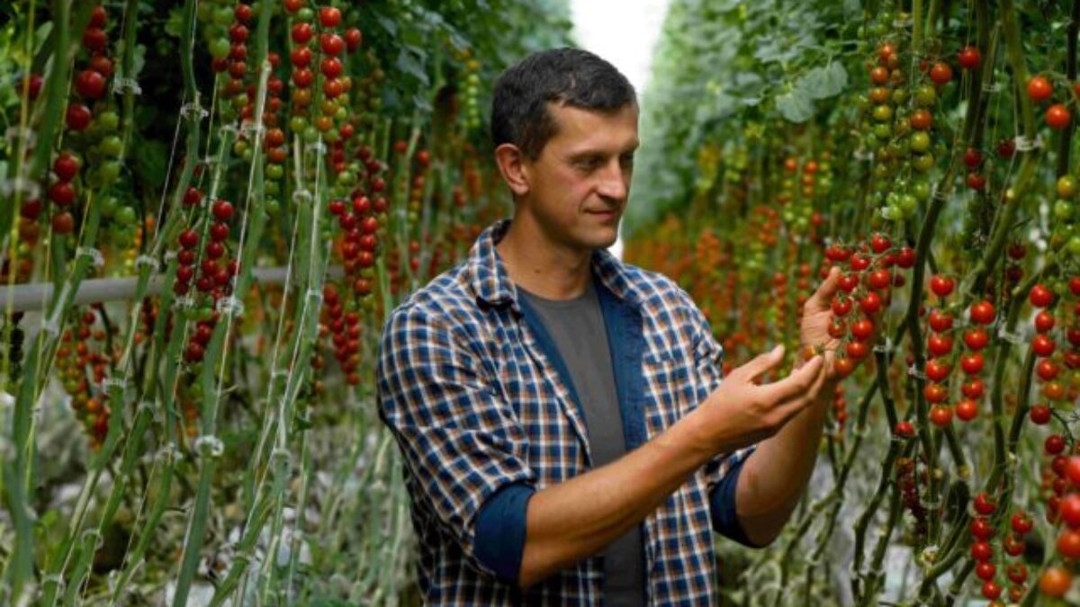 Do boja proti plytvaniu potravinami sa zapája aj 13 strategických dodávateľov Tesca v strednej Európe