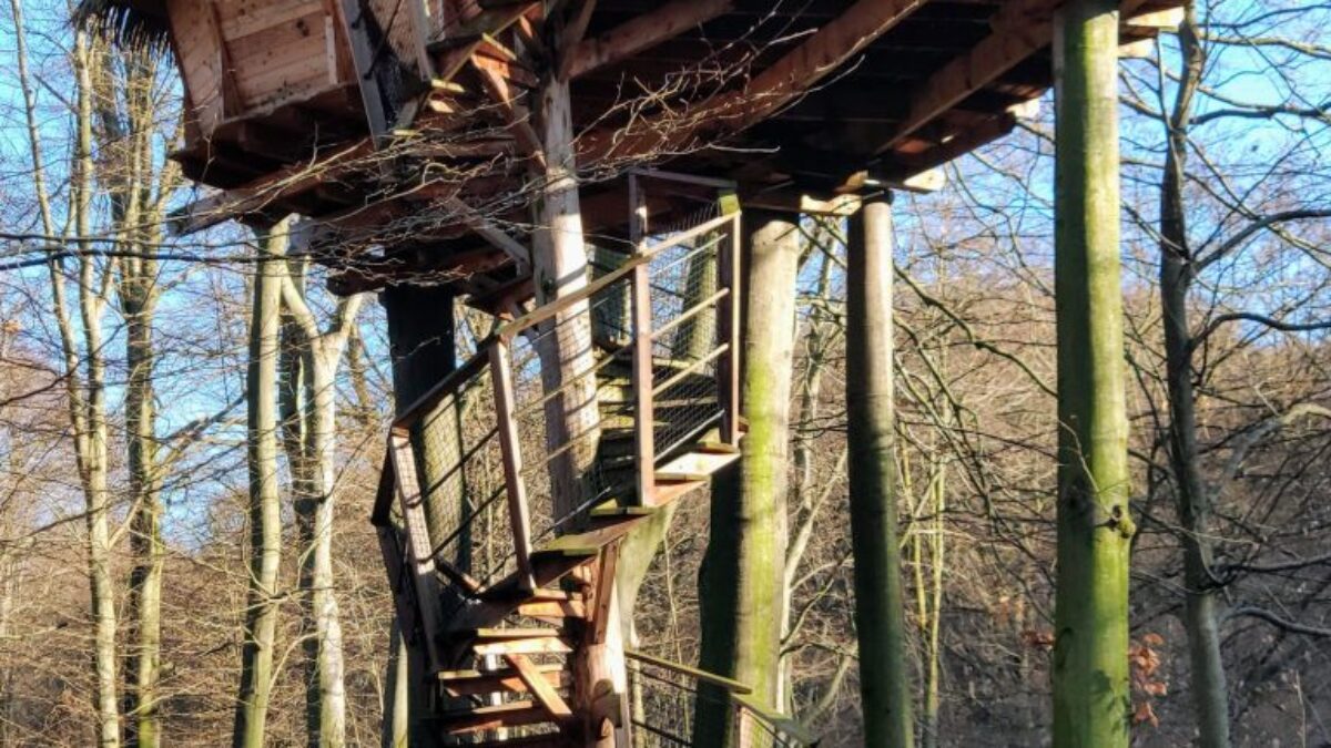 Posilňujte svoju imunitu. V boji proti vírusom je kľúčová