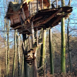 Posilňujte svoju imunitu. V boji proti vírusom je kľúčová