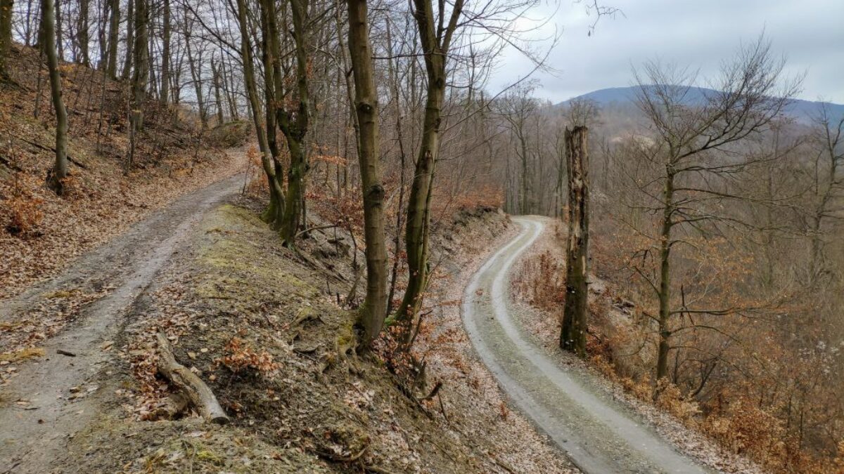 tip na zimný výlet: z perneku do pezinka Tip na zimný výlet: Z Perneku do Pezinka