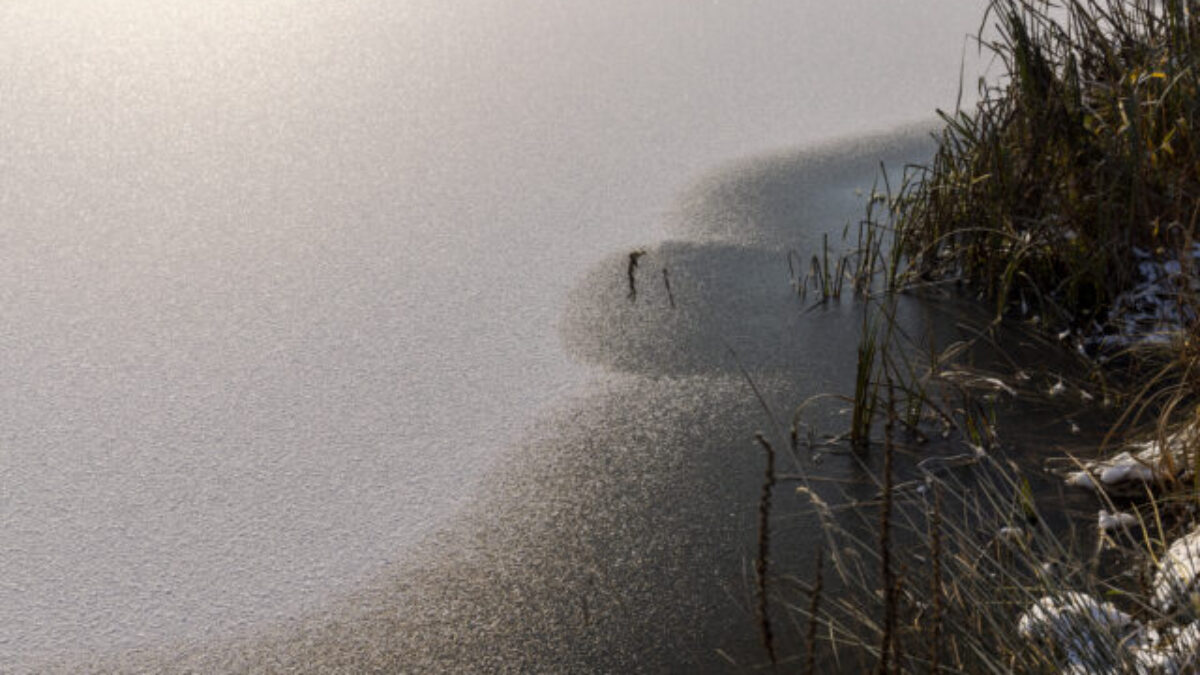 Košickí mestskí policajti zachránili na Nový rok z jazera vyčerpaného a podchladeného muža