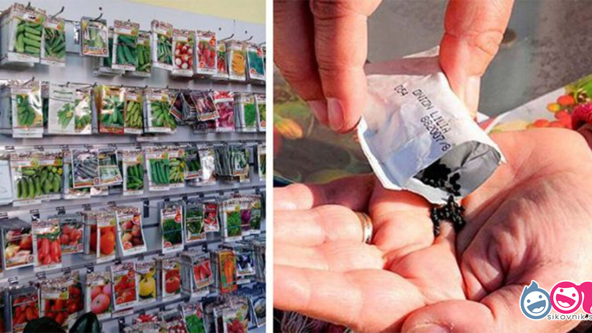 9 najčastejších CHÝB, ktoré robíte pri nákupe semien! Prehliadanie údajov na obale má veľký vplyv ako na ÚRODU, tak na vašu peňaženku!