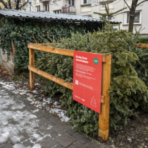 Bratislava od utorka začína so zberom vianočných stromčekov, odvážať ich budú až...