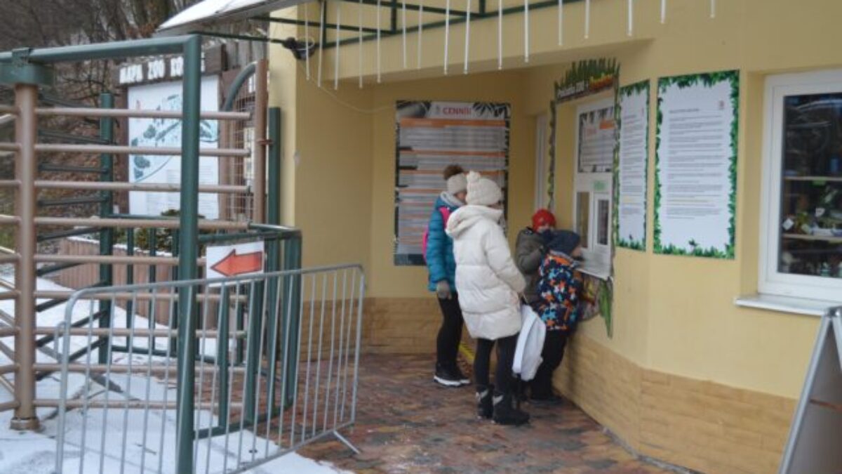 Košická ZOO je po troch týždňoch opäť otvorená pre verejnosť, dôvodom uzavretia bol výskyt vtáčej chrípky – FOTO