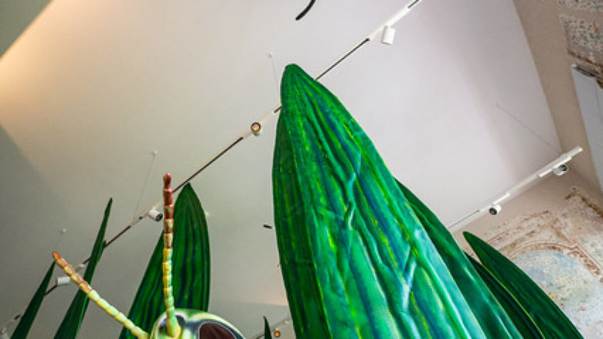 Kam s deťmi cez jarné prázdniny? Využite prázdninové otváracie hodiny v Ekocentre Čunovo