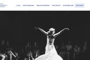 Dnes prebehlo prerokovanie štatútu Fondu na podporu umenia