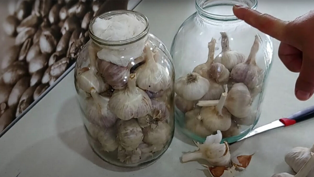 Tajomstvo dokonale čerstvého cesnaku: Stačí ho uložiť na TOTO miesto a vydrží mesiace, nestratí jeho silu a chuť!