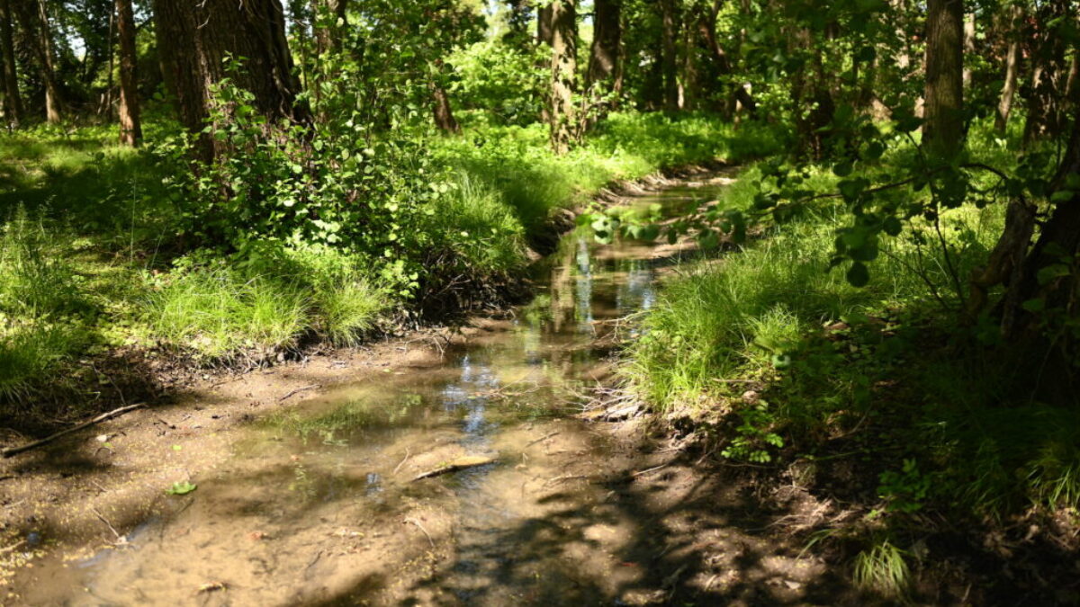 Bratislavský kraj začal revitalizáciu Kaštieľskeho parku v Stupave. Obnoví jeho krásu aj zašlú slávu