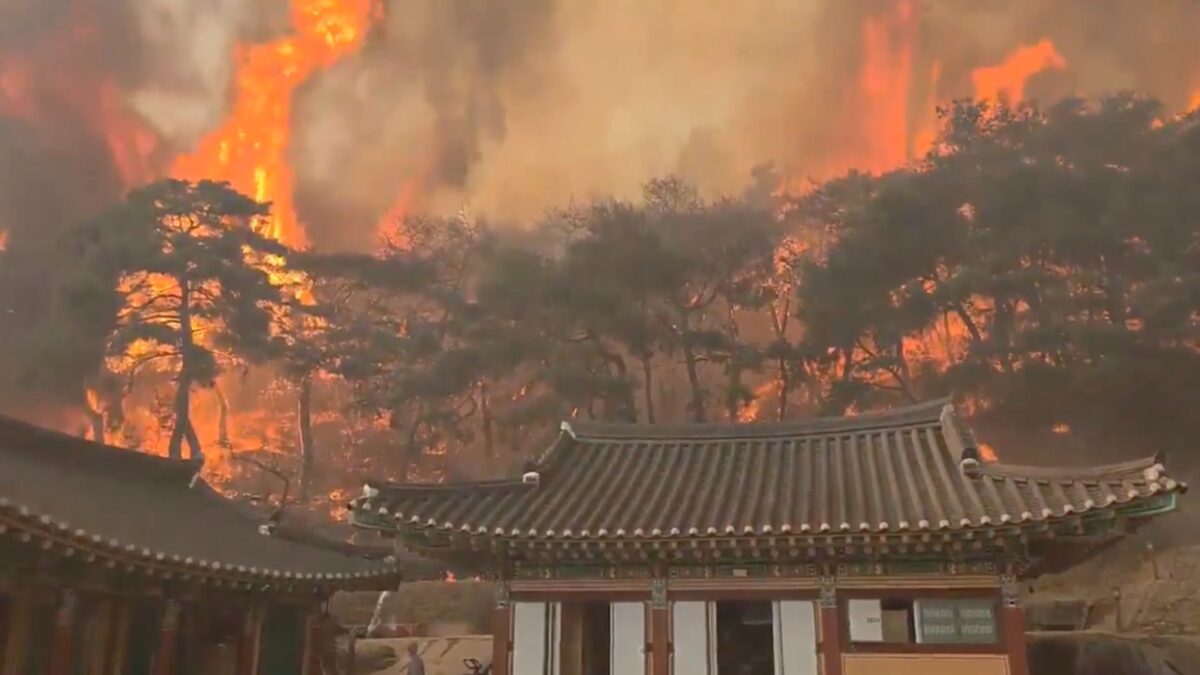Južná Kórea vyhlásila v dôsledku viacerých lesných požiarov výnimočný stav