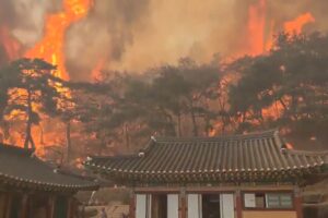 Južná Kórea vyhlásila v dôsledku viacerých lesných požiarov výnimočný stav