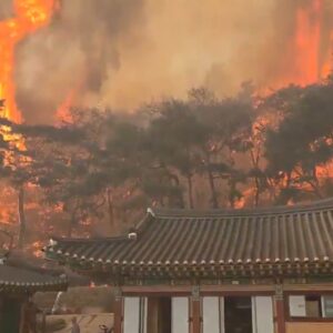 Južná Kórea vyhlásila v dôsledku viacerých lesných požiarov výnimočný stav