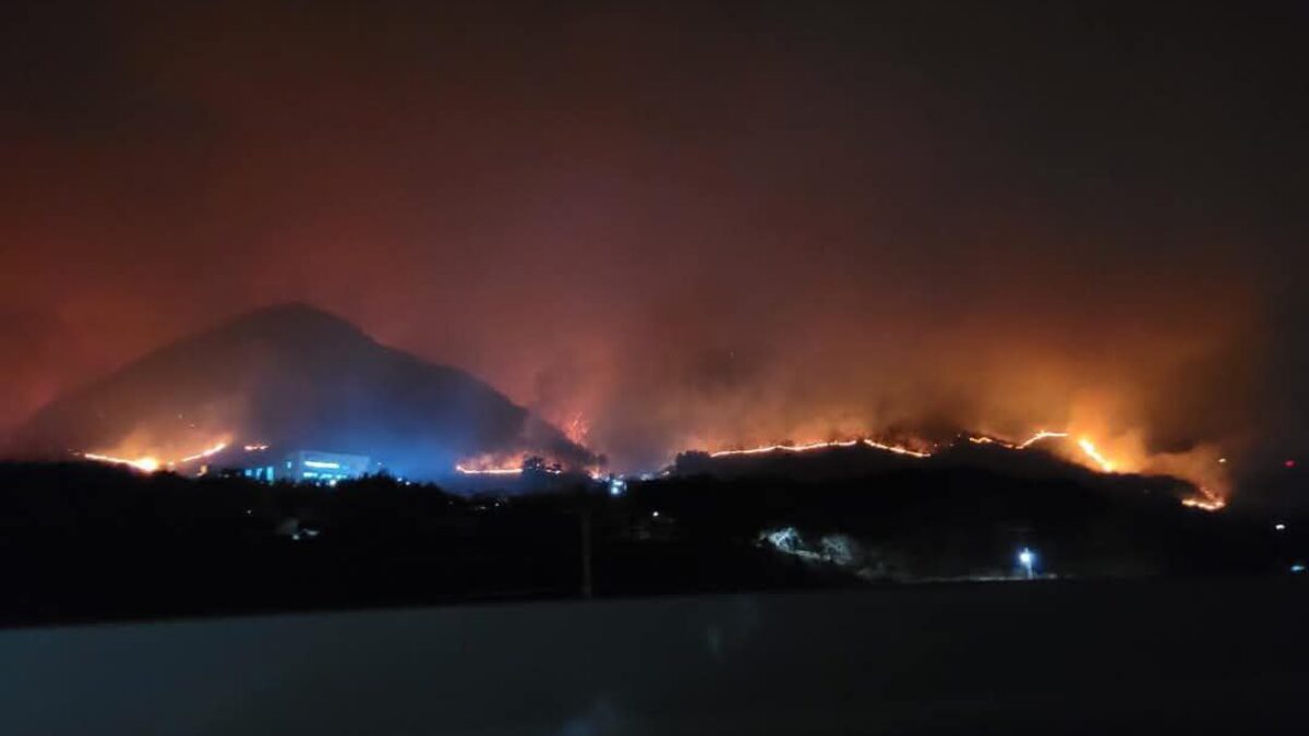 Ničivý lesný požiar v Južnej Kórei