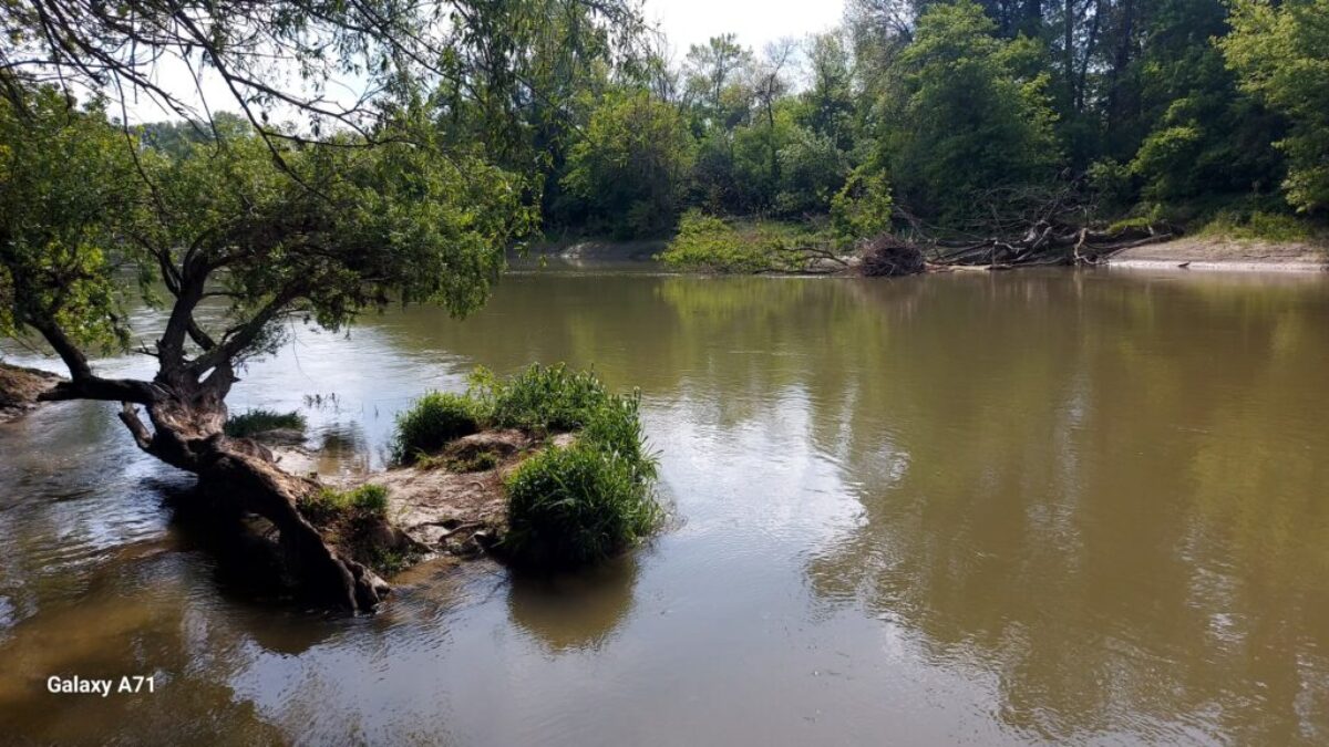 Ekocentrum Čunovo pozýva na komentovanú vychádzku za „lietajúcim diamantom“
