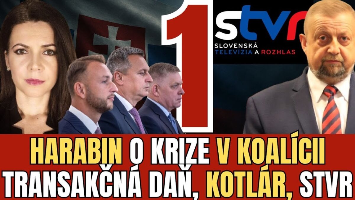 ŠTEFAN HARABIN 1 ČASŤ: VLÁDA V KRÍZE? Transakčná daň, COVID a mocenský boj v koalícii | TVOTV