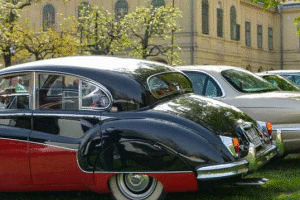 Mesto Komárno: Nádherná výstava automobilov značky Jaguár na Klapkovom námestí