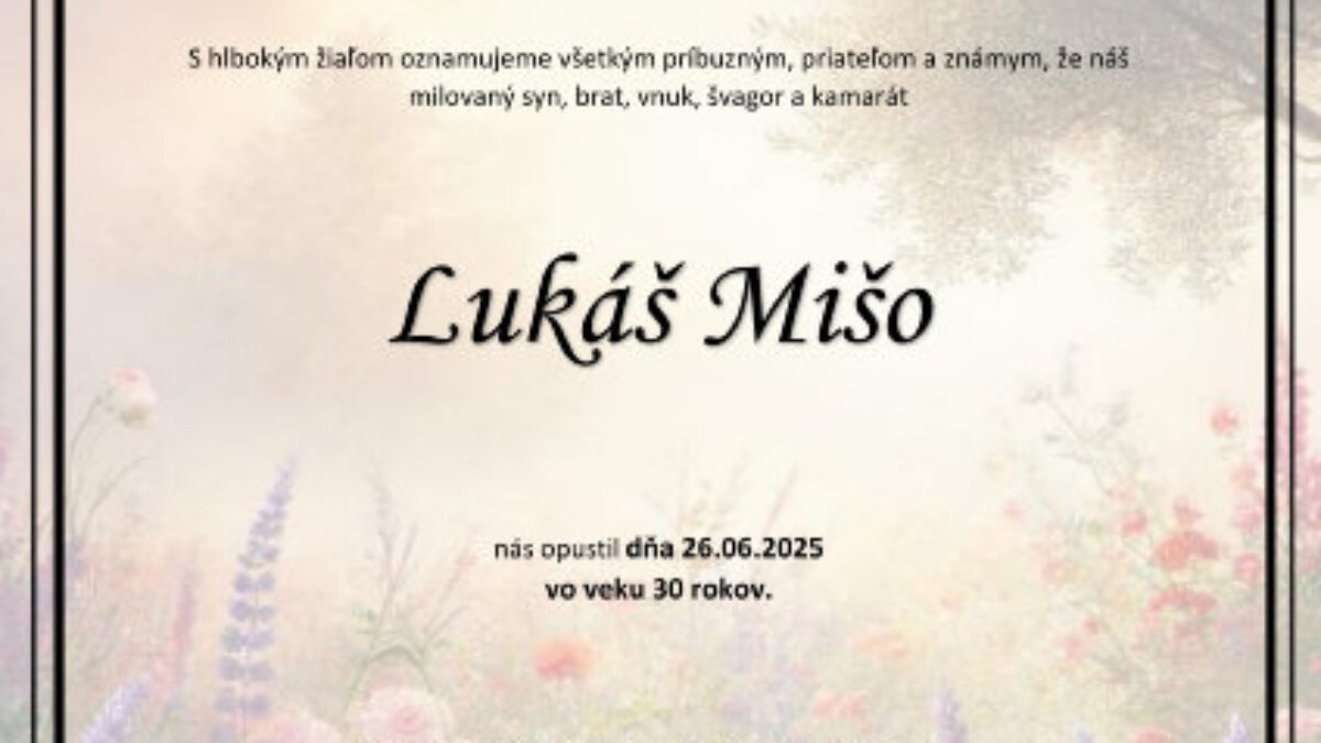 Mesto Trenčín: Lukáš Mišo