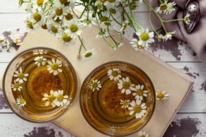 Harmanček pravý – zber, liečivé účinky