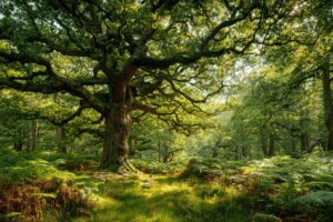 Hnojivý účinok väčšieho množstva CO2 vo vzduchu nielenže zabezpečuje, že rastlin...