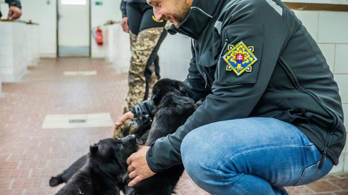 M.Š. EŠTOK: ZASTAVÍME TÝRANIE A NELEGÁLNE MNOŽENIE ZVIERAT