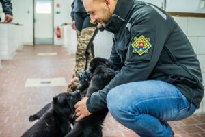 M.Š. EŠTOK: ZASTAVÍME TÝRANIE A NELEGÁLNE MNOŽENIE ZVIERAT