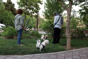 Iránsky islamskí strážcovia zakročili proti venčeniu psov