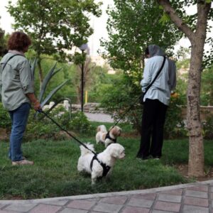 Iránsky islamskí strážcovia zakročili proti venčeniu psov