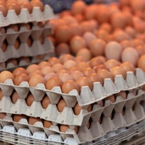 Prepuknutie salmonely v USA spôsobilo stiahnutie 1,7 milióna vajec z trhu