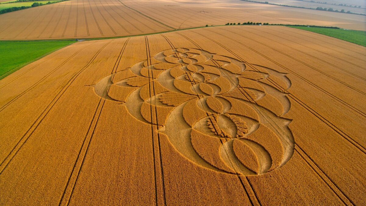 Kruhy v obilí: Tajomstvo, ktoré pretrváva navzdory vede i skeptikom