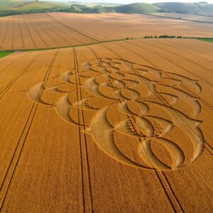 Kruhy v obilí: Tajomstvo, ktoré pretrváva navzdory vede i skeptikom