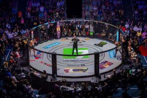 Slovenka valcuje pražskú Štvanicu: Historický moment