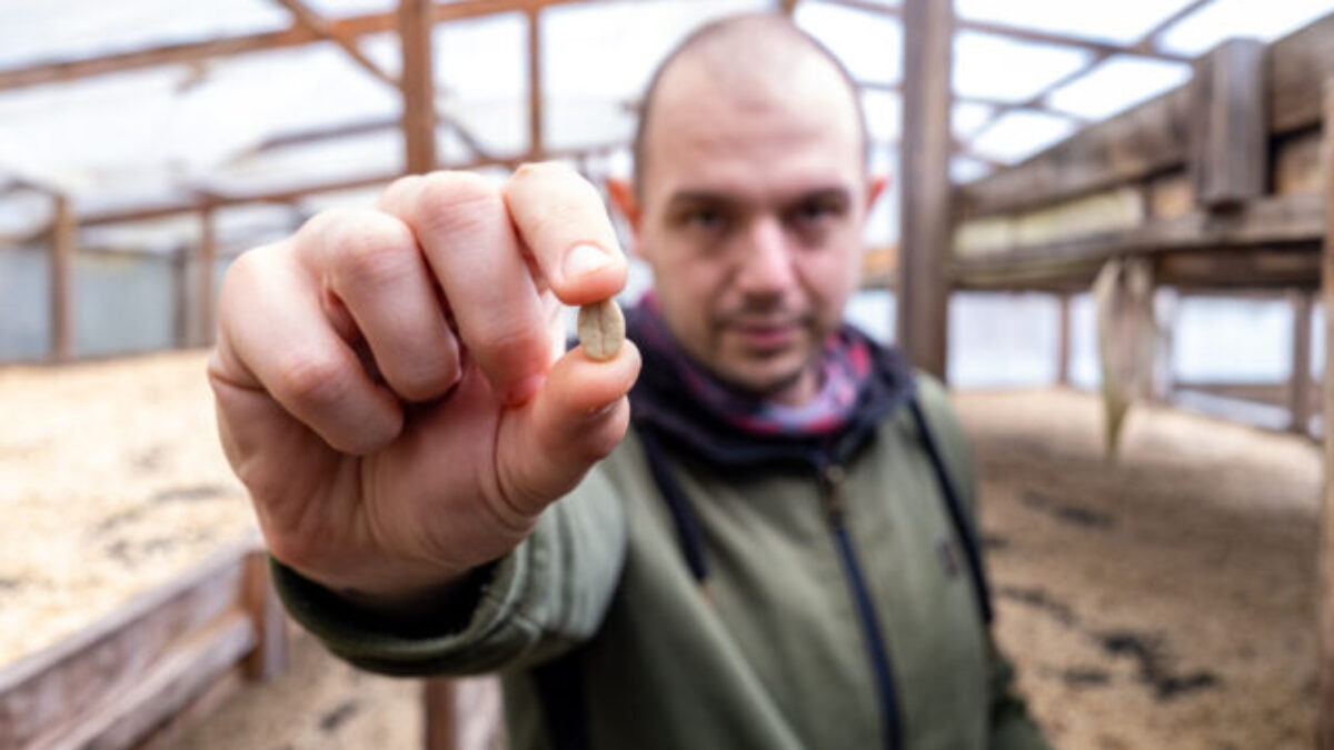 14 rokov kávy: Z detskej izby na najväčší e-shop s kávou na Slovensku