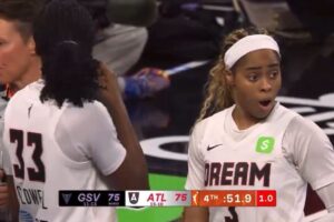 Fanúšik hodil vibrátor na palubovku počas zápasu WNBA.