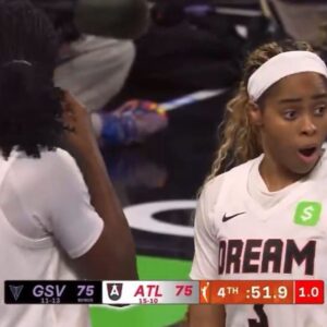 Fanúšik hodil vibrátor na palubovku počas zápasu WNBA.