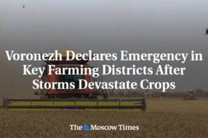 90017__08ab327d569a7326477fdf63e12babea.jpg Voronež vyhlasuje stav núdze v kľúčových poľnohospodárskych okresoch po tom, čo ...