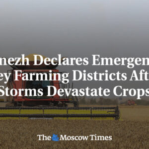 Voronež vyhlasuje stav núdze v kľúčových poľnohospodárskych okresoch po tom, čo ...