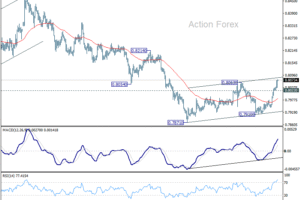 USD/CHF – Poludňajší výhľad