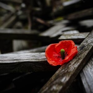 111. VÝROČIE ZAČIATKU I. SVETOVEJ VOJNY