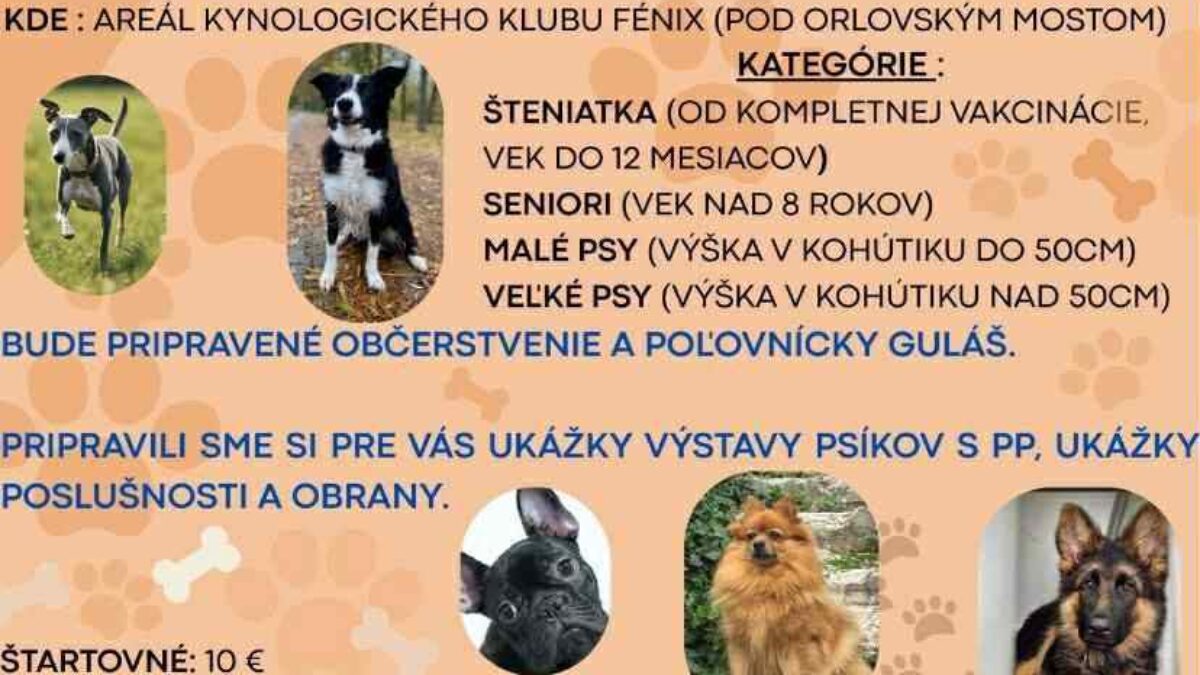 Mesto Považská Bystrica: Komentovanie tohto príspevku bolo vypnuté.