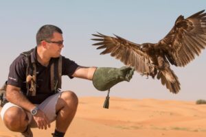 Čoskoro môže vyhynúť až 500 druhov vtákov. Dôrazné varovanie vysvetľuje, Čoskoro môže vyhynúť až 500 druhov vtákov. Dôrazné varovanie vysvetľuje, čo ich ...