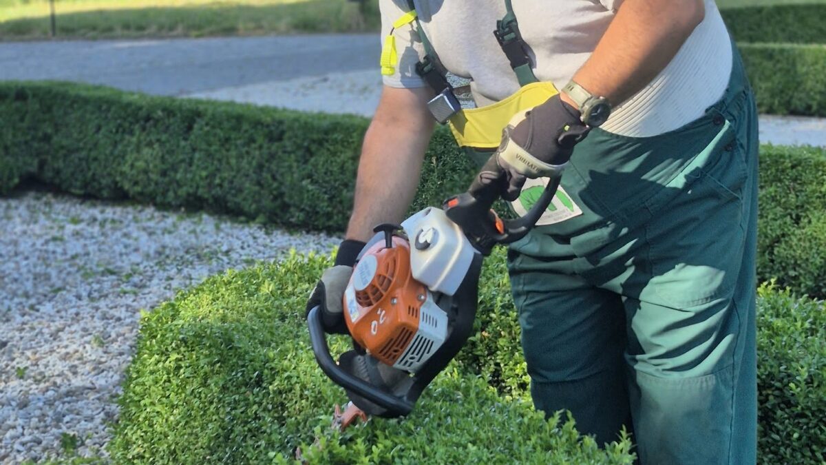 Mesto Košice: Priebežná údržba živých plotov Mesto Košice: Priebežná údržba živých plotov