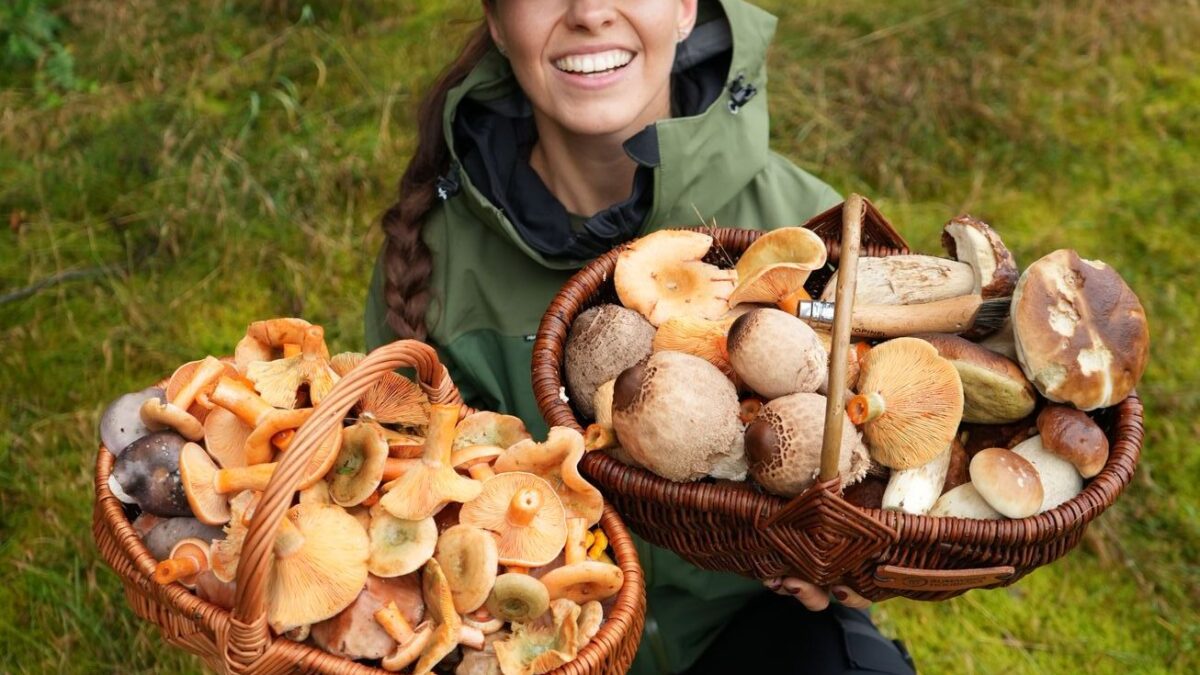 Rastú? Šumavská hubárka ukazuje správny návod, kde hľadať