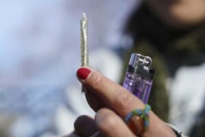 Novela zákonníka v Česku uvoľňuje pravidlá pri pestovaní konopy.