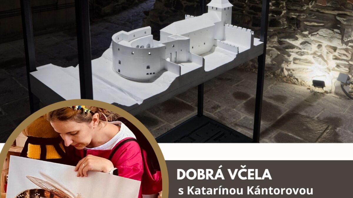 Mesto Košice: ZISTITE, ČO VŠETKO DOKÁŽU VČELY A ČO VŠETKY Mesto Košice: ZISTITE, ČO VŠETKO DOKÁŽU VČELY A ČO VŠETKY VY. V SOBOTU NA DOLNEJ BRÁNE VYRÁBAME AJ VOSKOVÉ SVIEČKY