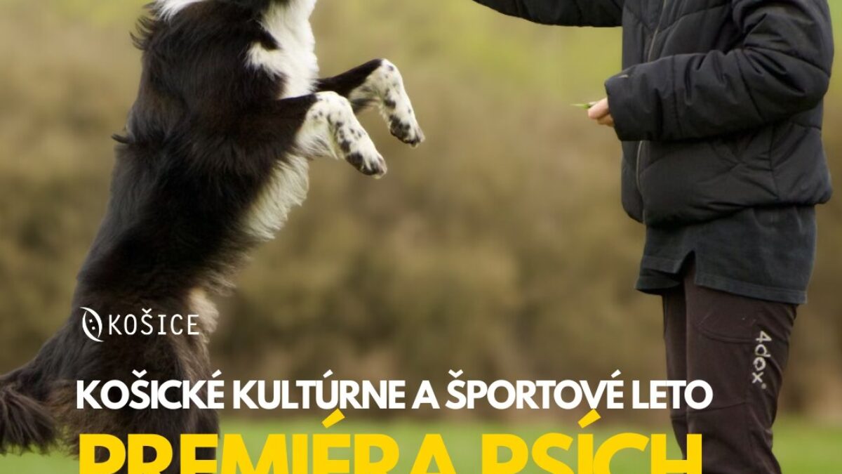 Mesto Košice: ŠPORTOVÝ PIATOK PRINESIE DO MESTSKÉHO PARKU PREMIÉRU PSÍCH Mesto Košice: ŠPORTOVÝ PIATOK PRINESIE DO MESTSKÉHO PARKU PREMIÉRU PSÍCH ŠPORTOV