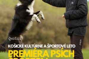 Mesto Košice: ŠPORTOVÝ PIATOK PRINESIE DO MESTSKÉHO PARKU PREMIÉRU PSÍCH Mesto Košice: ŠPORTOVÝ PIATOK PRINESIE DO MESTSKÉHO PARKU PREMIÉRU PSÍCH ŠPORTOV