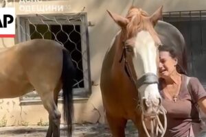 Konské stajne a objekty zasiahnuté ruským útokom na Odesu, Ukrajina