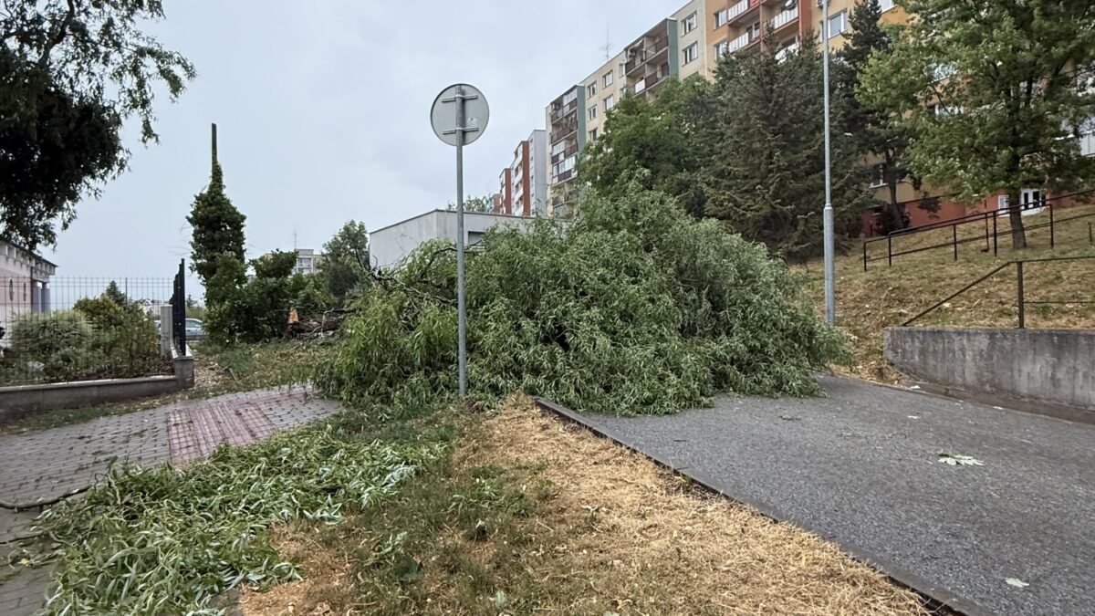 Mesto Košice: BÚRKA ZNIČILA 103 STROMOV