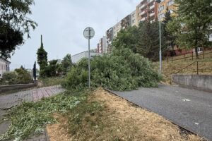 Mesto Košice: BÚRKA ZNIČILA 103 STROMOV Mesto Košice: BÚRKA ZNIČILA 103 STROMOV