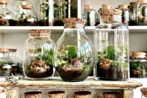 Niekedy len stojíme a pozeráme.